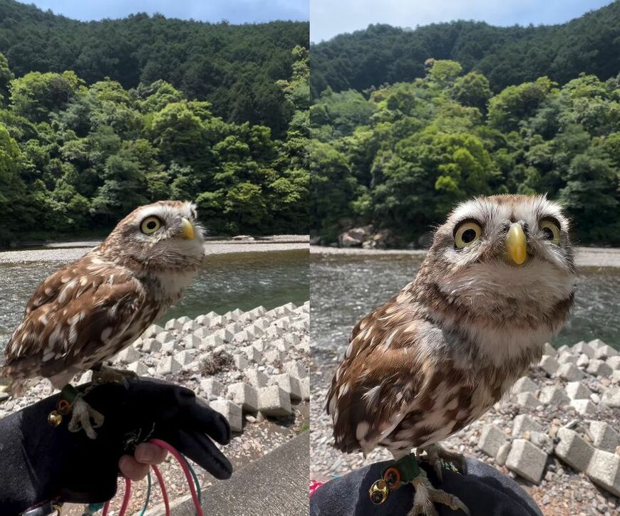 投稿動画のワンシーン