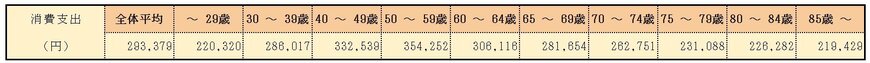 20歳代~85歳以上《年齢階級別》二人以上世帯の消費支出
