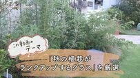ガーデニングのプロが「植えてよかった」手間いらずで秋の庭が垢抜ける《グラス植物》多年草5選