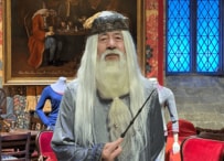 【76歳コスプレイヤー】家族でコスプレを満喫するおじいちゃん…完成度が高すぎるハリポタコスに大反響「素敵すぎる老後！」