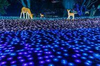  【2023年冬】奈良県のイルミネーションおすすめ5選！東京から奈良までの交通手段も解説 