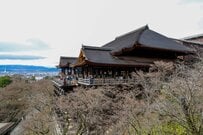 京都の清水寺から放たれた謎の光線に目を奪われる　「映画のワンシーンみたい」「圧倒されますね」と騒然