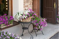 【ガーデニング】玄関まわり等「小さな空間」をステキな庭に！オススメの草花7選