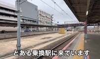 【鉄道トリビア】「とある乗換駅に来ています」東京近郊を走る "非電化なのに複線" という謎の通勤路線を現役東大生が全力で解説！