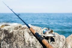 釣りで「持ち帰った」タチウオ クーラーボックスを忘れた「筋トレ光景」に注目集まる