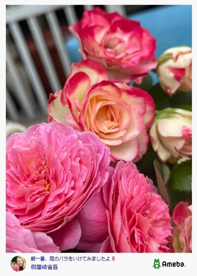 假屋崎省吾のAmebaブログ投稿