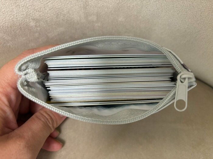 小さいポケットには13枚、大きいポケットには38枚収納できました!