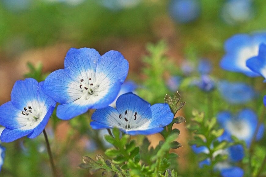 igaguri_1/istockphoto.com