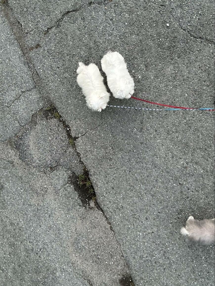 出所：@9Z8lquSv8B3FMpN