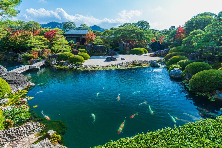 KazT/shutterstock.com