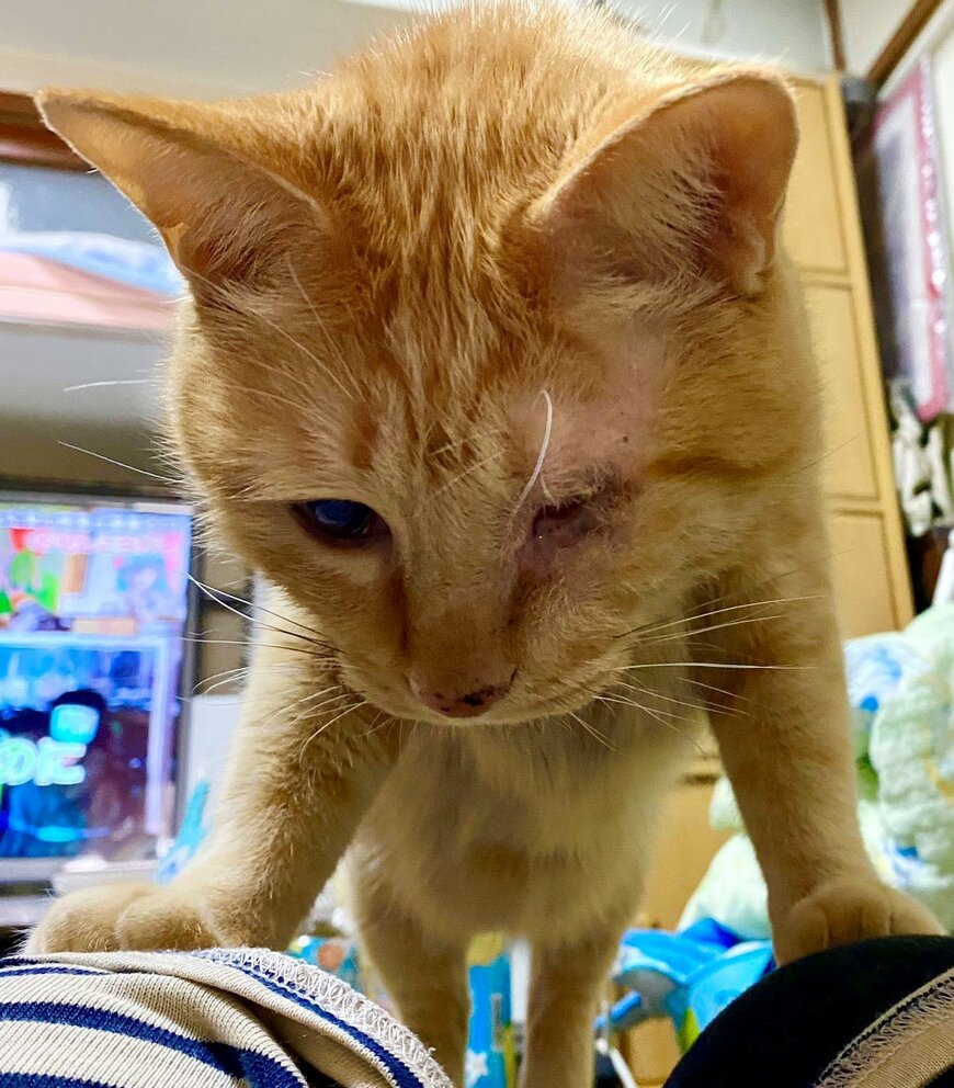 出所：@luna7taka9