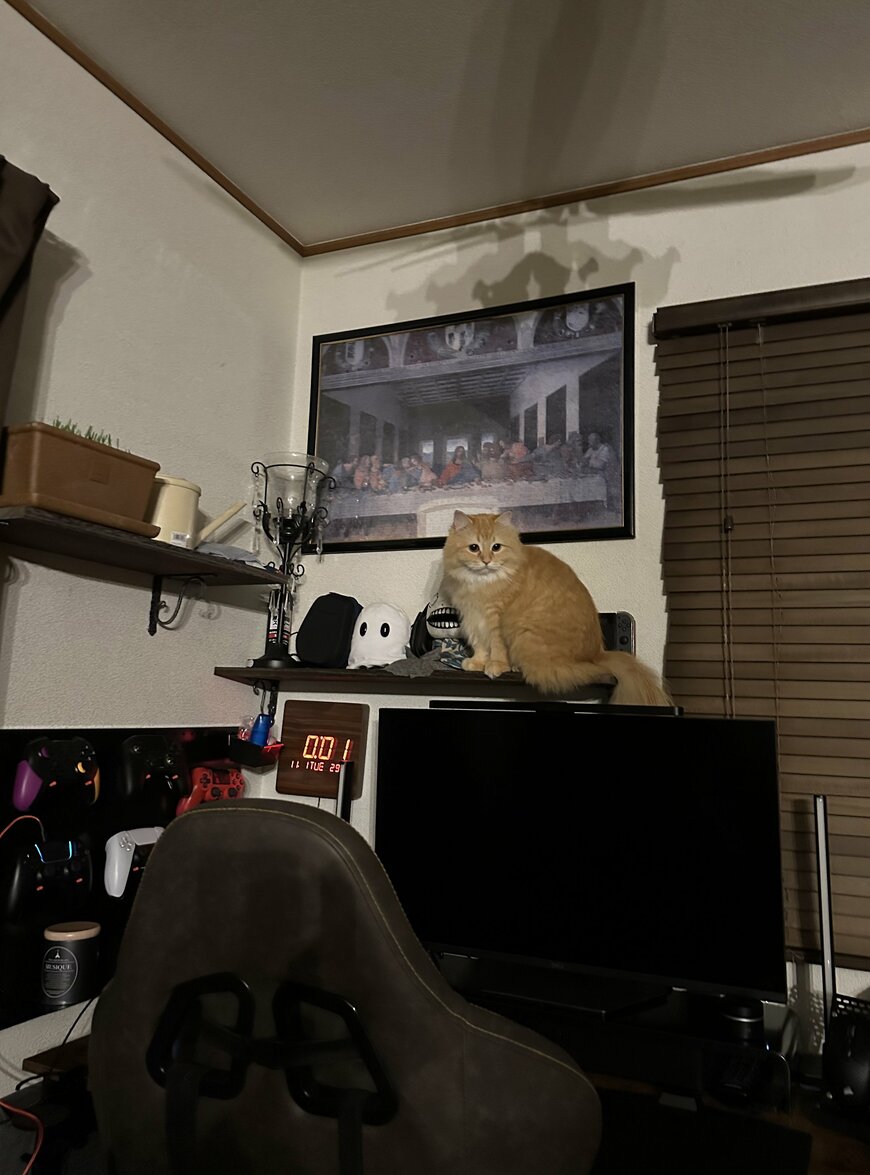 出所：@NEKOLAND13