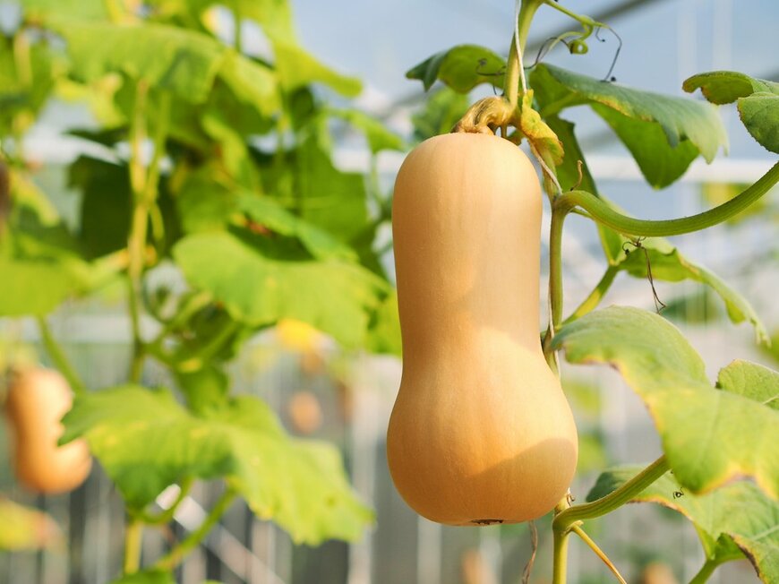 pada smith/istockphoto.com