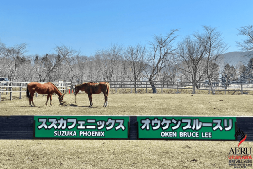 北海道の牧場で確認された「迷惑行為」　禁煙の敷地内にポイ捨てされたタバコを発見…