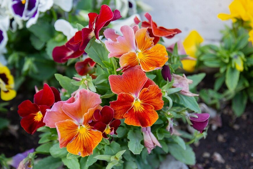 Yasin Caglayan/istockphoto.com