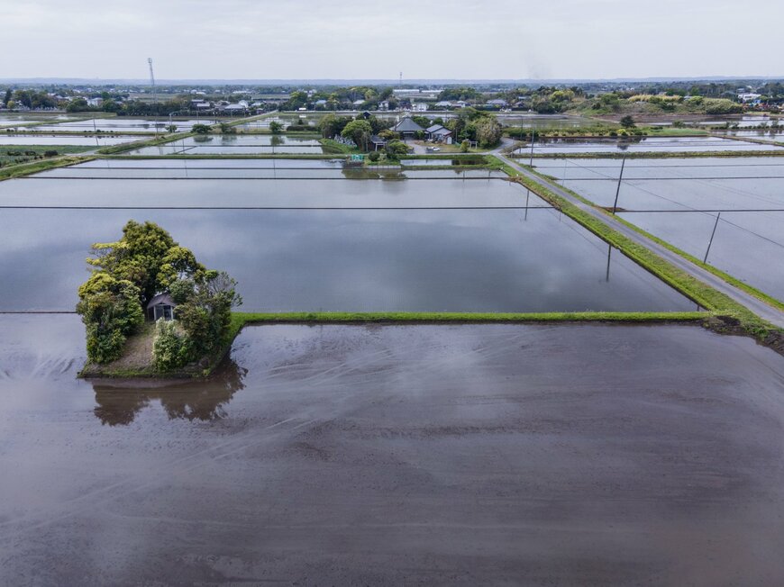 画像出所：@enuenuenubi