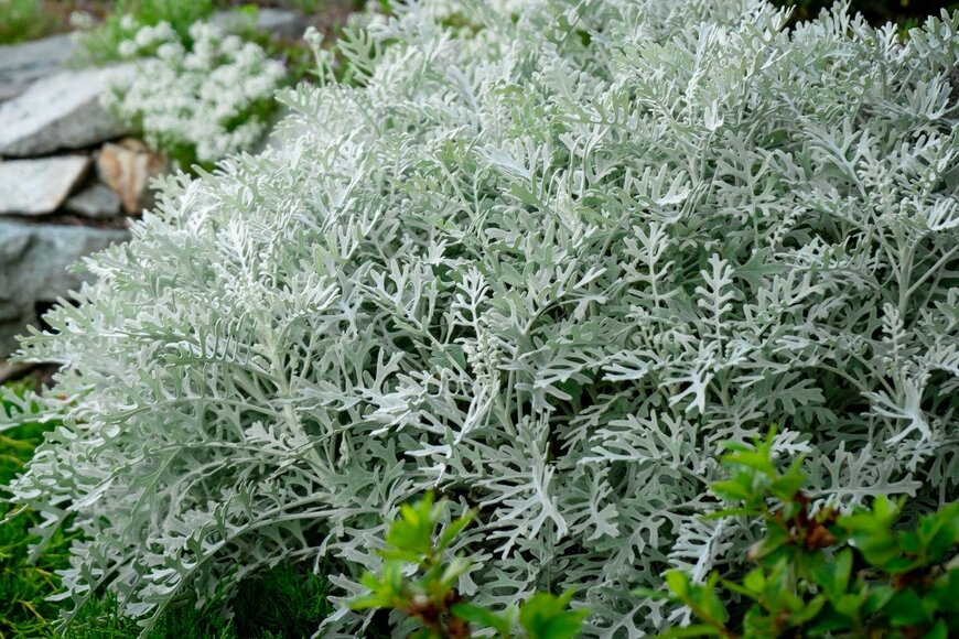 Joyce Grace/istockphoto.com