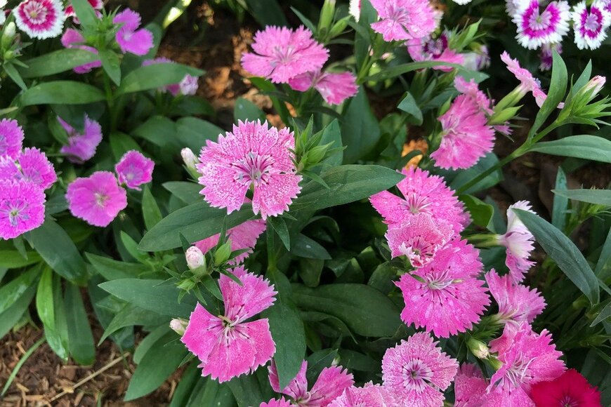 kendoNice/istockphoto.com