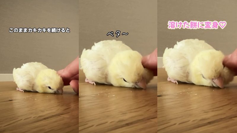 出所：@daiinkoteikoku_soraoto