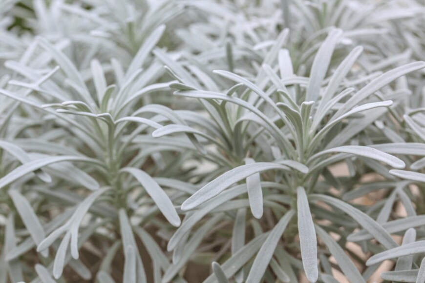 Korkiat/istockphoto.com