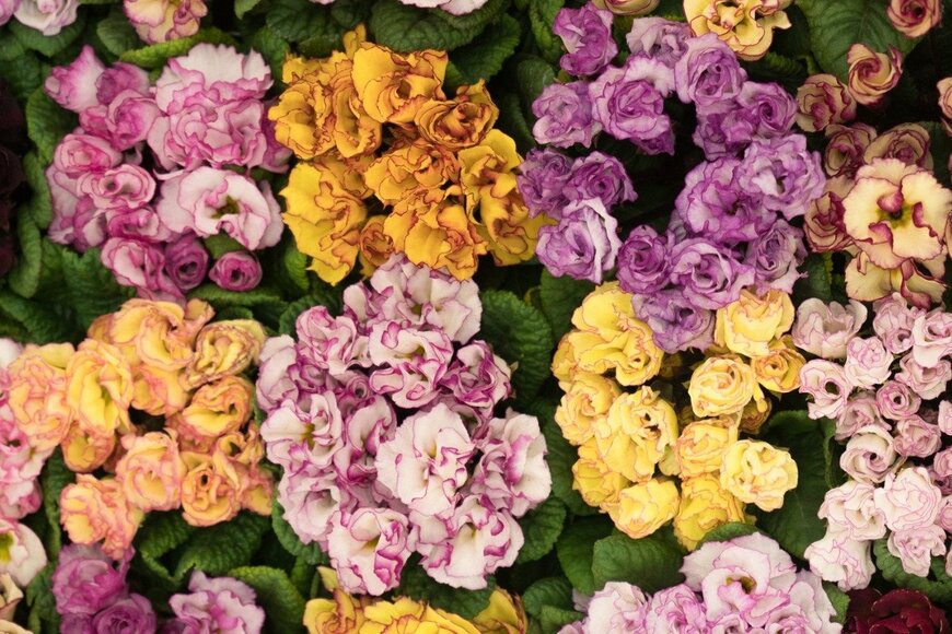 y-studio/istockphoto.com