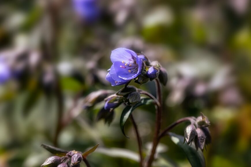 Chris Lawrence Travel/shutterstock.com