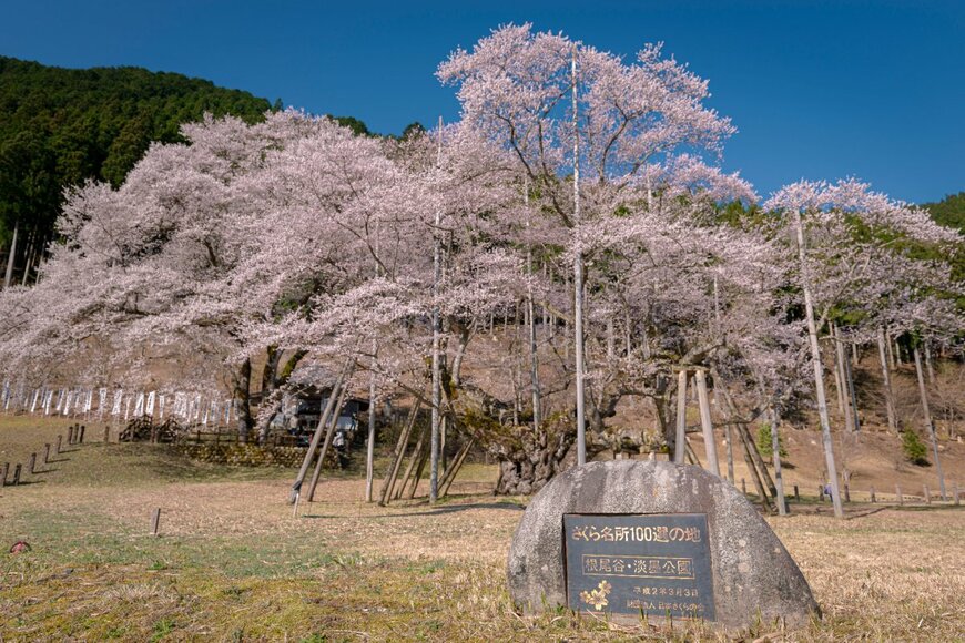 m.y.m09/shutterstock.com