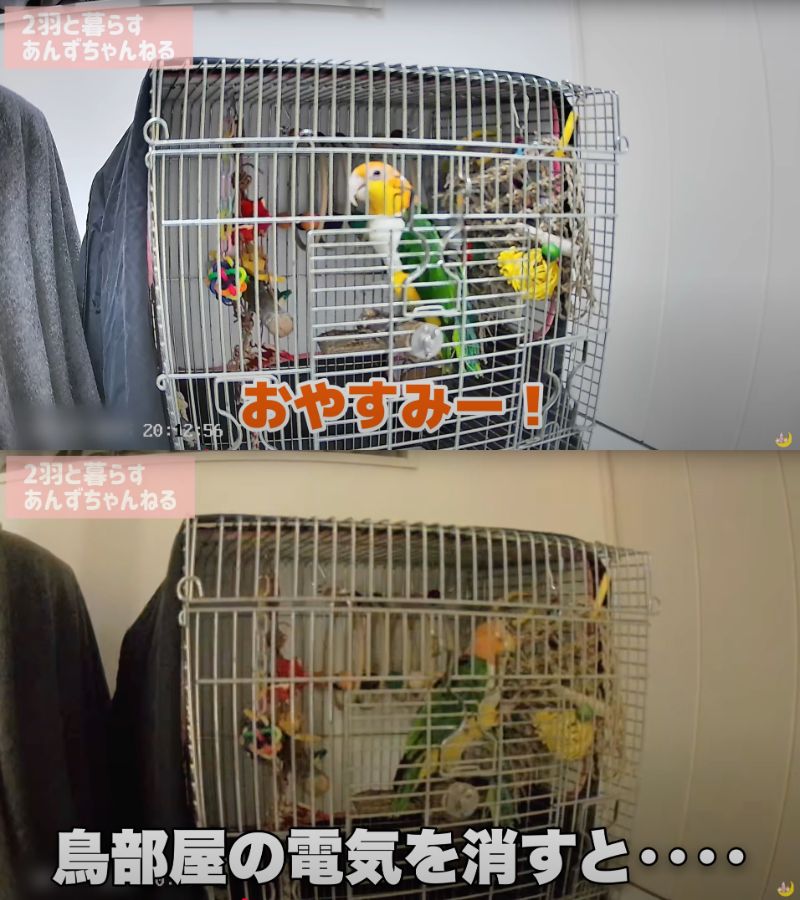 出所：@anz_omomiri