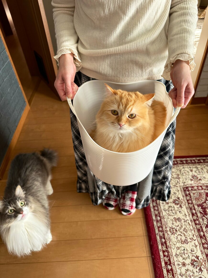 出所：@NEKOLAND13