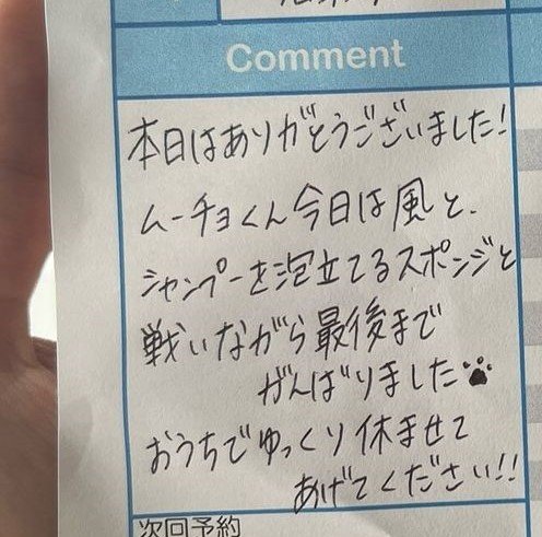 出所：@mucho_world