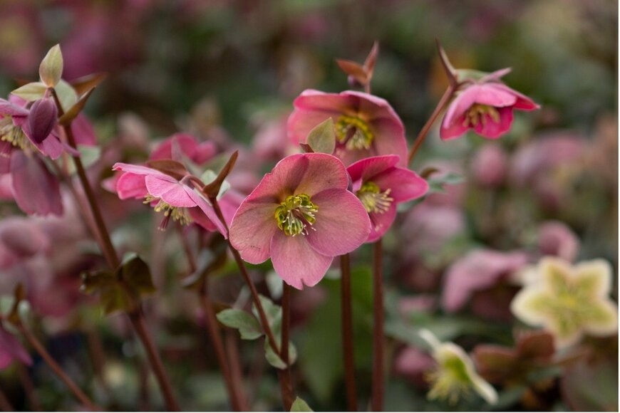 Dale Gu/istockphoto.com