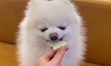 出所：@boku_ponchan