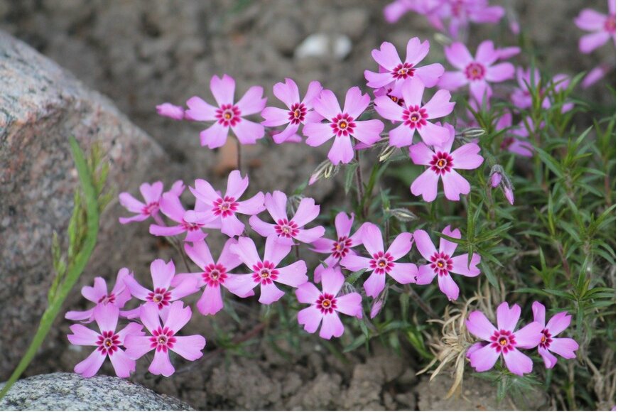 kazakovmaksim/istockphoto.com