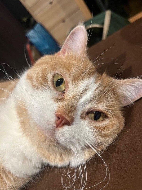 出所：@kotaro_0315