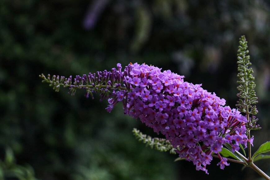 Akbar Bhahesti/istockphoto.com