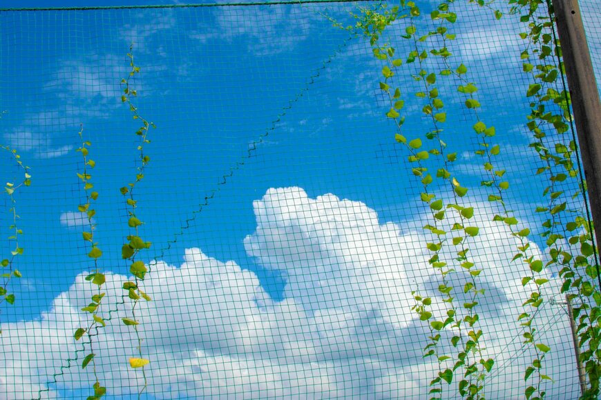 出所：@photono_gen