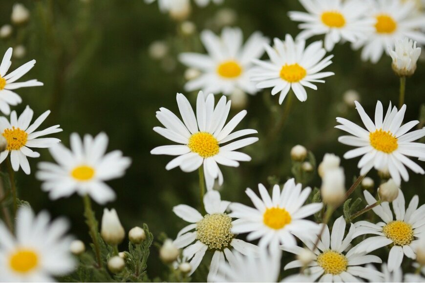 tamara_kulikova/istockphoto.com