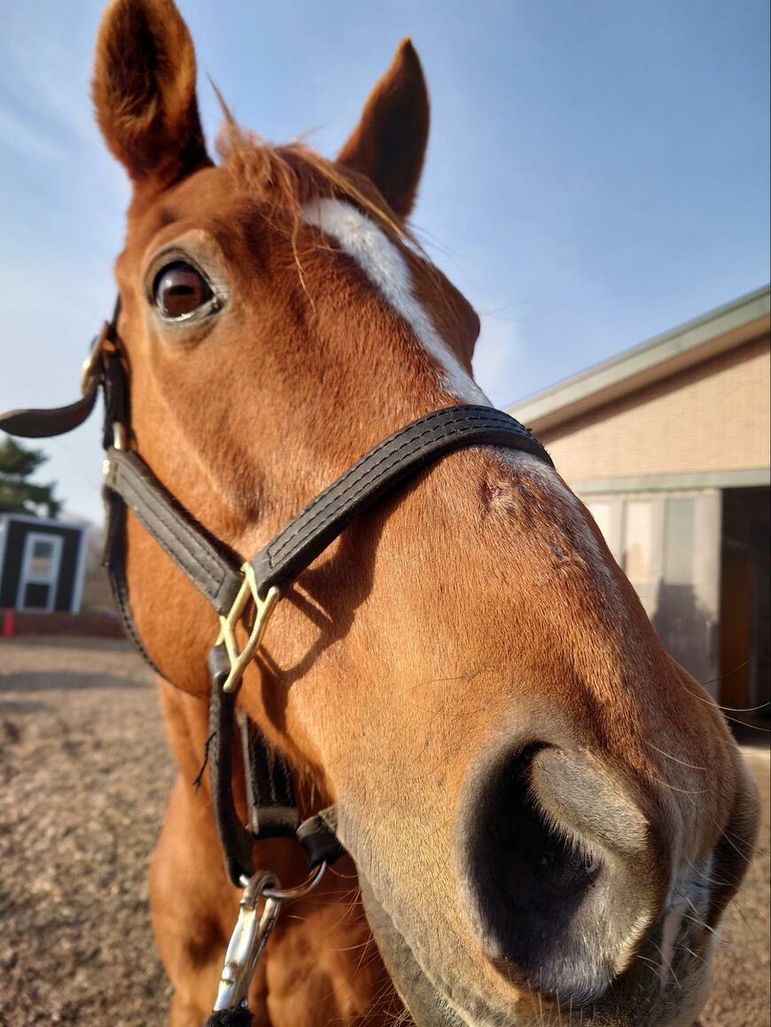 出所：Yogiboヴェルサイユリゾートファーム