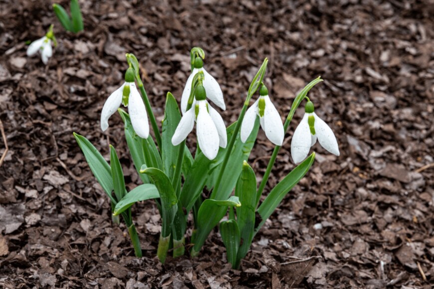 Billy_Fam/istockphoto.com