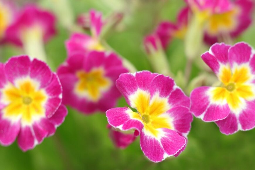 Mariia Romanyk/istockphoto.com