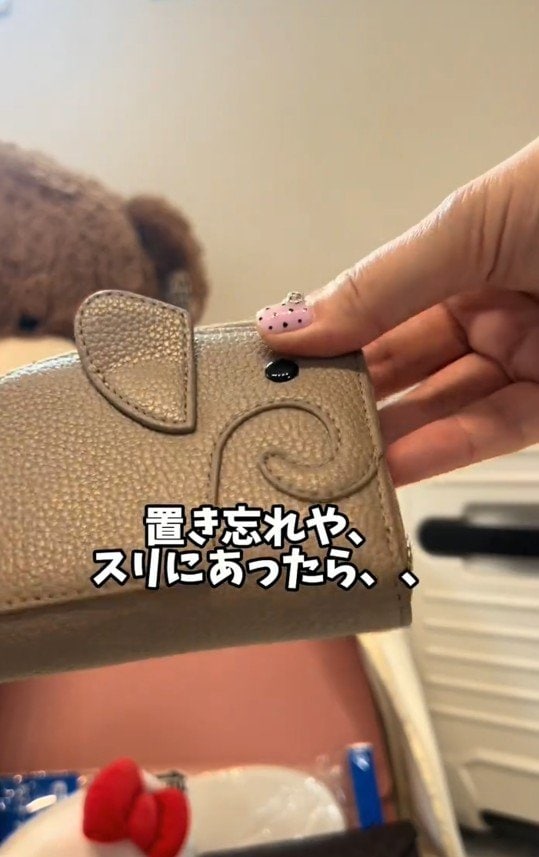 財布は安くてかわいいものに変えておく