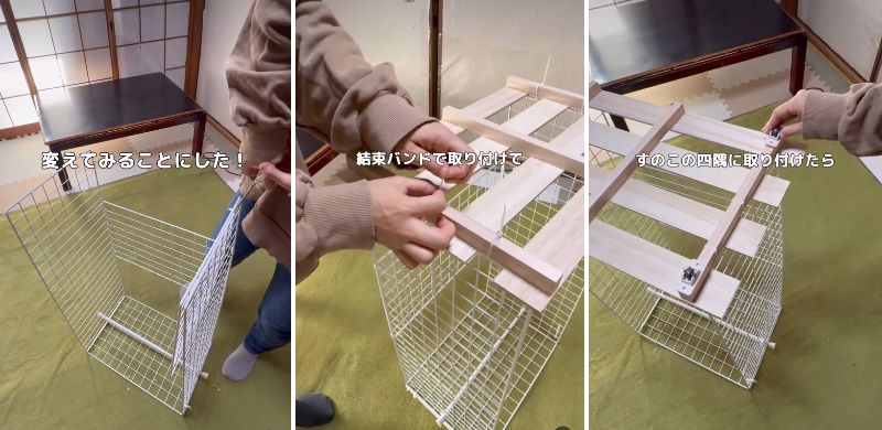 投稿の画像