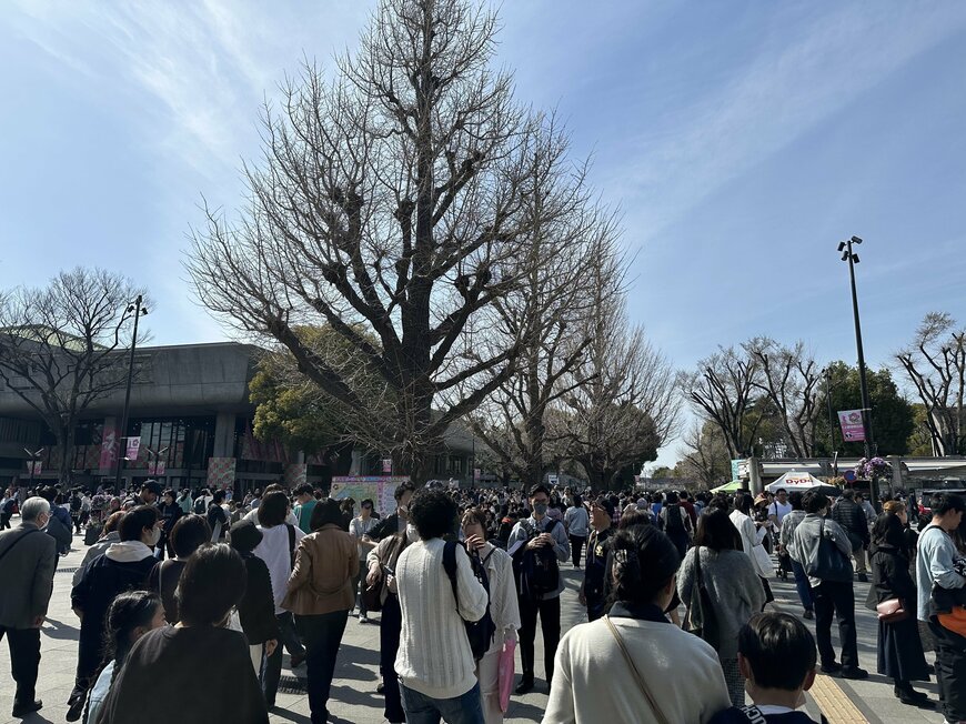まだ枝しか見られない上野公園