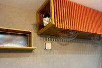 キャットウォークで眠る猫の顔をよく見ると…　「世界遺産の光景」を思わせる表情に癒される