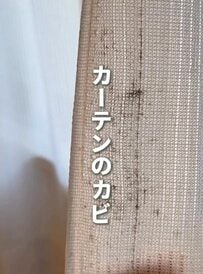 「きれいすぎる...！！」丸2年洗っていないカーテンの〈カビ〉→〈塩素系カビ取りスプレー〉で超簡単にスッキリ撃退！