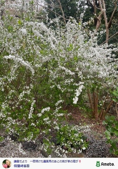 假屋崎省吾の公式ブログ投稿