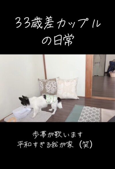 投稿動画のワンシーン