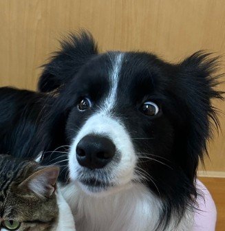 ビックリ顔に笑ってしまう人続々