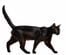 「ましかく」になった黒猫　あまりにも美しく完璧な「香箱座り」に笑ってしまう