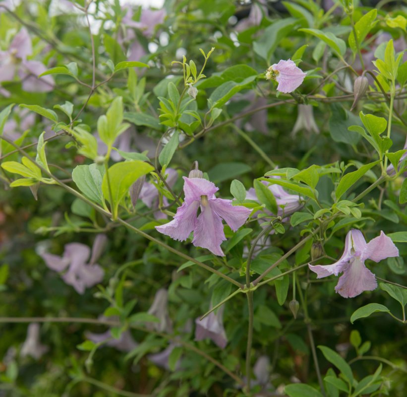 Peter Turner Photography/shutterstock.com